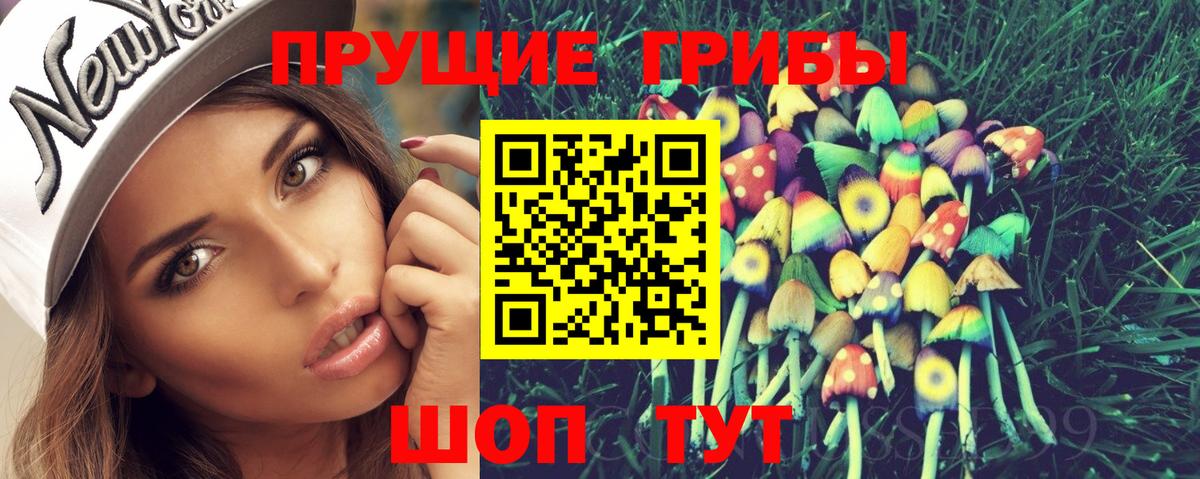 Ленинск-Кузнецкий  Псилоцибиновые грибы MAGIC MUSHROOMS  Вход с VPN  Галлюциногенные грибы Cubensis 